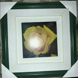 10 x 10 Green Photo Frame